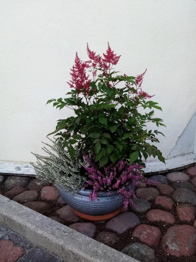 Birgittagarden - Gaesthem - Birgittasystrarna Bed & Breakfast Falun Luaran gambar